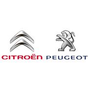 Запчасти Peugeot и Citroen оригинальные фото