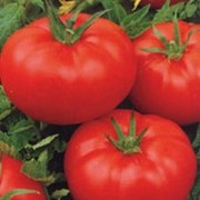 Семена томатов F1 Ля-ля-фа фото