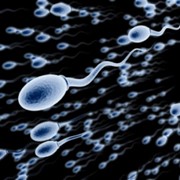 Расширенные исследования качества спермы (спермограмма, антиспермальные антитела, морфология, биохимия, мутации), (Клиника репродуктивной медицины ВіоТехСом)
