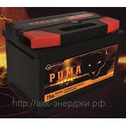 Аккумуляторы PUMA фото