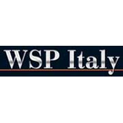 Автомобильные диски WSP Italy