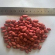 Арахис (Nuts) 1,2 сорт фото