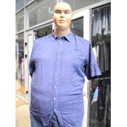 Мужская рубашка Артикул: 154, больших размеров оптом и в розницу