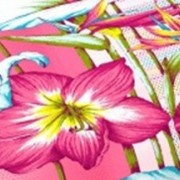 Ткань постельная Бязь 100 гр/м2 150 см Набивная Цветалия розовый/S815 TDT фото