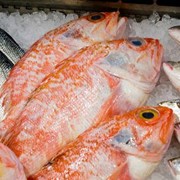 Рыба морская мороженая разные виды в ассортименте возможен экспорт