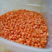 Чечевица красная семена оптом на экспорт фото