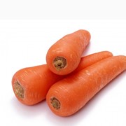 Морковь свежая фото