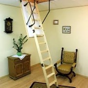 Чердачная лестница OMAN Termo Long (120x70) фото