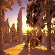 Зимний отдых в Финляндии фото