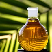 Пальмовое масло фотография