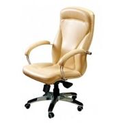Кресло для руководителей Хьюстон НВ хром с механизмом ANYFIX двухсторонняя кожа люкс фото