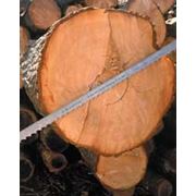 Пила ленточная из углеродистой стали по дереву Wood Master C фотография