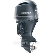 Лодочный мотор Yamaha FL225FETX фотография