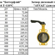 Затвор дисковый Баттерфляй фото