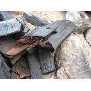 Уголь древесный дубовый