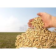 Древесные гранулы Пеллеты купить Пеллеты Украина экспорт купить цена фото. фотография