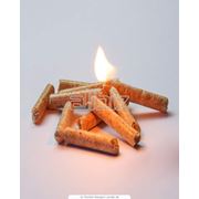Уголь древесный из твердых пород древесины фото