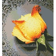 Картина стразами Желтая роза-2 22х24 см фотография