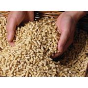 Пеллеты пшеничные экспорт фото