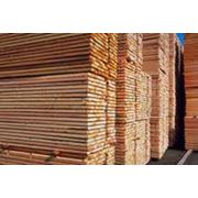 Доски из твердых пород древесины купить в Житомире Экспорт фото