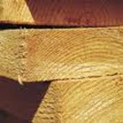 Доски мягких пород древесины фотография