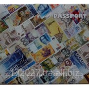 Обложка для паспорта Деньги