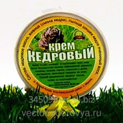Крем Кедровый (питает, очищает, лечит кожные заболевания) Хит продаж!!! фотография