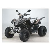 ATV Квадрациклы GOES 350 S Sport, Объем двигателя: 313 см3, продажа в Симферополе фото