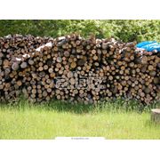 Дрова для камина дрова колотые дубовые дрова березовые купить.
