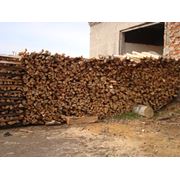 Древесина букового дерева дрова бук сырье древесное дерево лесоматериалы пиломатериалы купить заказать фото Ужгород Украина фото