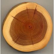 Древесинапропитка древесины МеридианИвано-Франковск фото