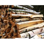Дрова березовые Киевская область купить дрова колотые. фото