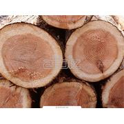 Огне биозащита древесины фото