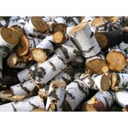 Дрова березовые. Заказать дрова березовые недорого. У нас вы можете купить дрова березовые недорого. Продажа дров березовых на экспорт. Дрова березовые по цене от производителя. Продажа дров березовых только хорошего качества.