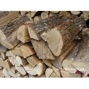 Дрова дубовые. Заказать дрова дубовые недорого. У нас вы можете купить дрова дубовые недорого. Продажа дров дубовых на экспорт. Дрова дубовые по цене от производителя. Продажа дров дубовых только хорошего качества.