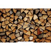 Сырье древесное дрова от производителя купить Украина цена доступная. фото