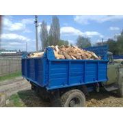 Дрова сухие дубовые. дрова колотые в Киеве Купить Цена Фото фото