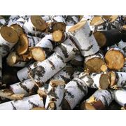 Дрова сухиеСырье древесное дрова фотография