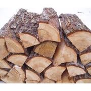 Ольха-Дуб Сырье древесное дрова фотография