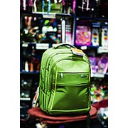 Рюкзак на колесахAsialeopard 36х27х50см зеленый фотография