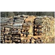 Дрова дрова колотые дрова березовые дрова осиновые дрова каминные дрова для розжига купить дрова фотография