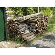 Круглые лесоматериалы дрова(купитьзаказать Николаев) фото