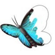 Услуги по графическому дизайну фото