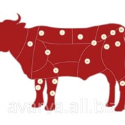 Мясо говядины фото