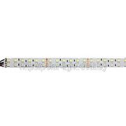 Лента RT 2-5000 12V Red, 3528, 300 LED, LUX