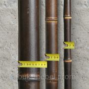 Ствол бамбука-К (чёрный) 4-5см длина 3м фото