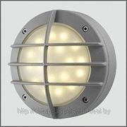 Светильник светодиодный для ЖКХ SSW15-05-C-01 фото