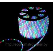 Световая гирлянда Дюралайт светодиодная LED-2RDLCh-2.4W100M (мульти) фото