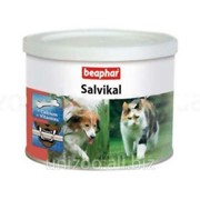 Витаминноминеральная добавка Beaphar Salvikal 250 г