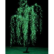 Световое дерево «Ива» LED WILLOW TREE 1440 LEDs, Высота: 250 см фотография